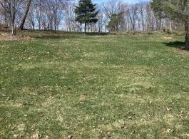 Miscellaneous images of the property approximately 5 acres of pastures and fields